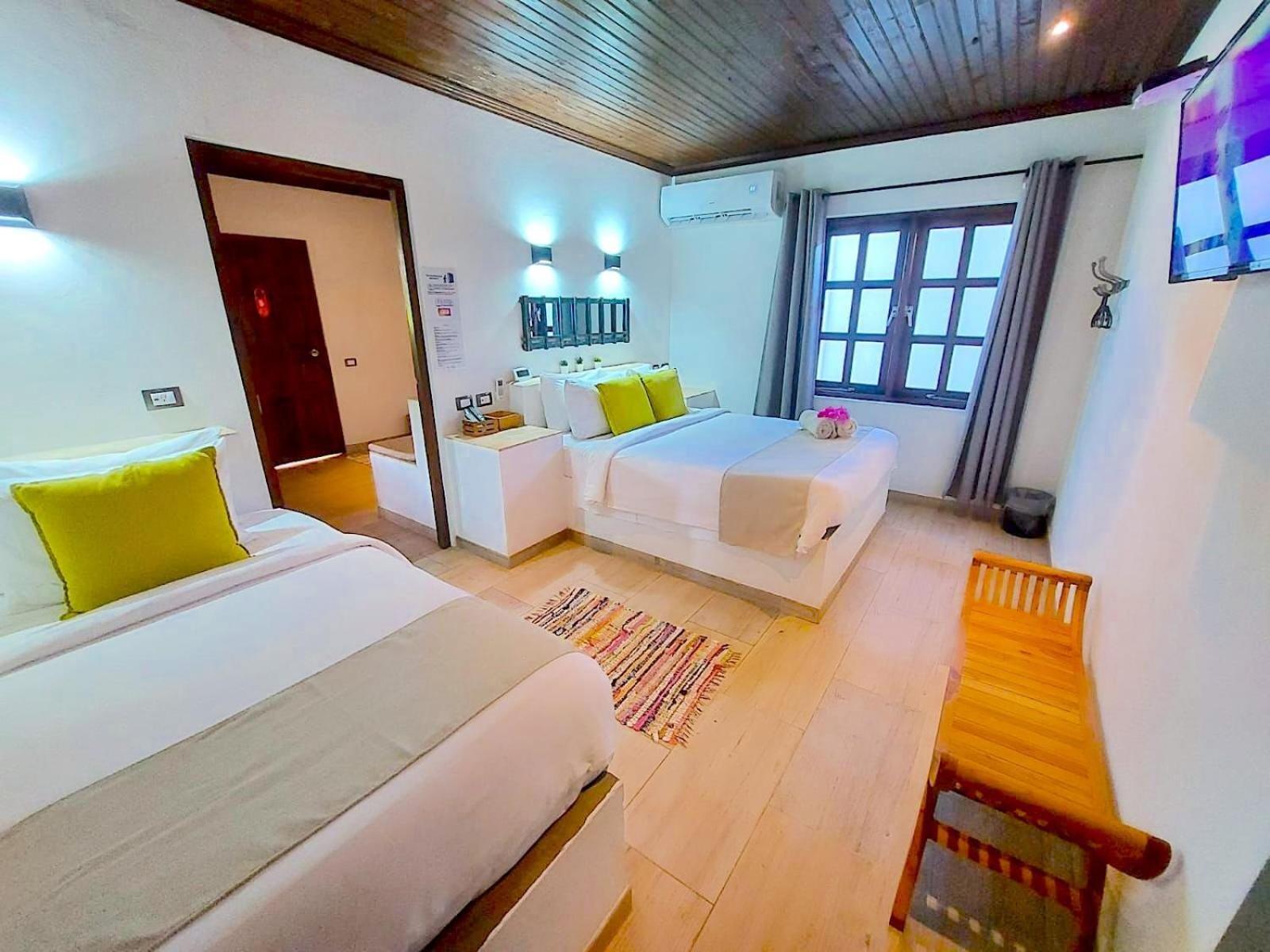 팜비치 Aruba Lagunita 빌라 객실 사진